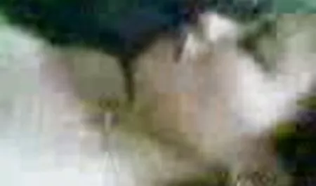 Anteprima video porno di attrici italiane dei contenuti Girl / Girl
