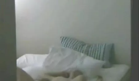 RoccoSiffredi in calze a rete, troie europee film porno con attrici italiane a tre