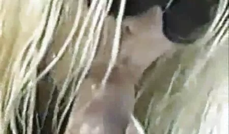 Scopata nel culo, caldo trio anale con attrici italiane xxx bruna
