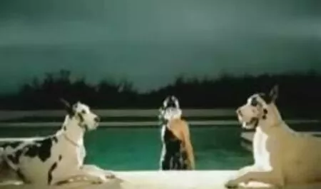 Super porno attrici italiane nomi Saiyan su quel culo